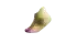ankle